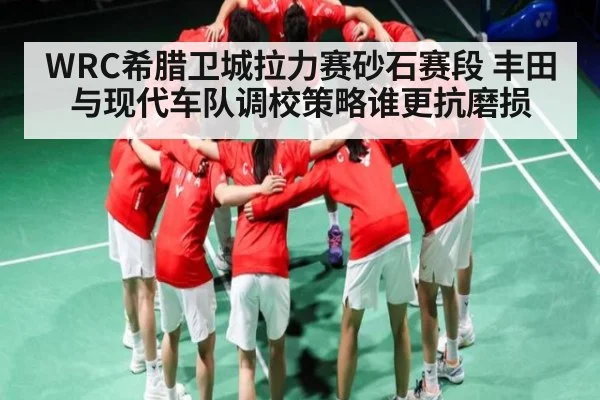 WRC希腊卫城拉力赛砂石赛段 丰田与现代车队调校策略谁更抗磨损